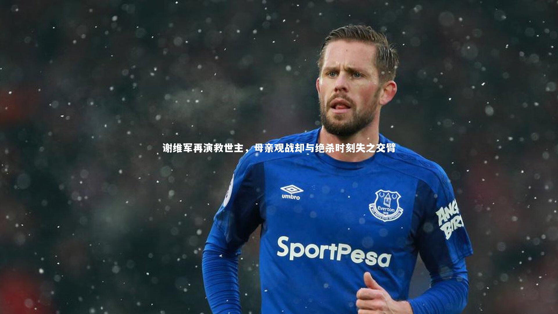 BSPORTS-谢维军再演救世主，母亲观战却与绝杀时刻失之交臂