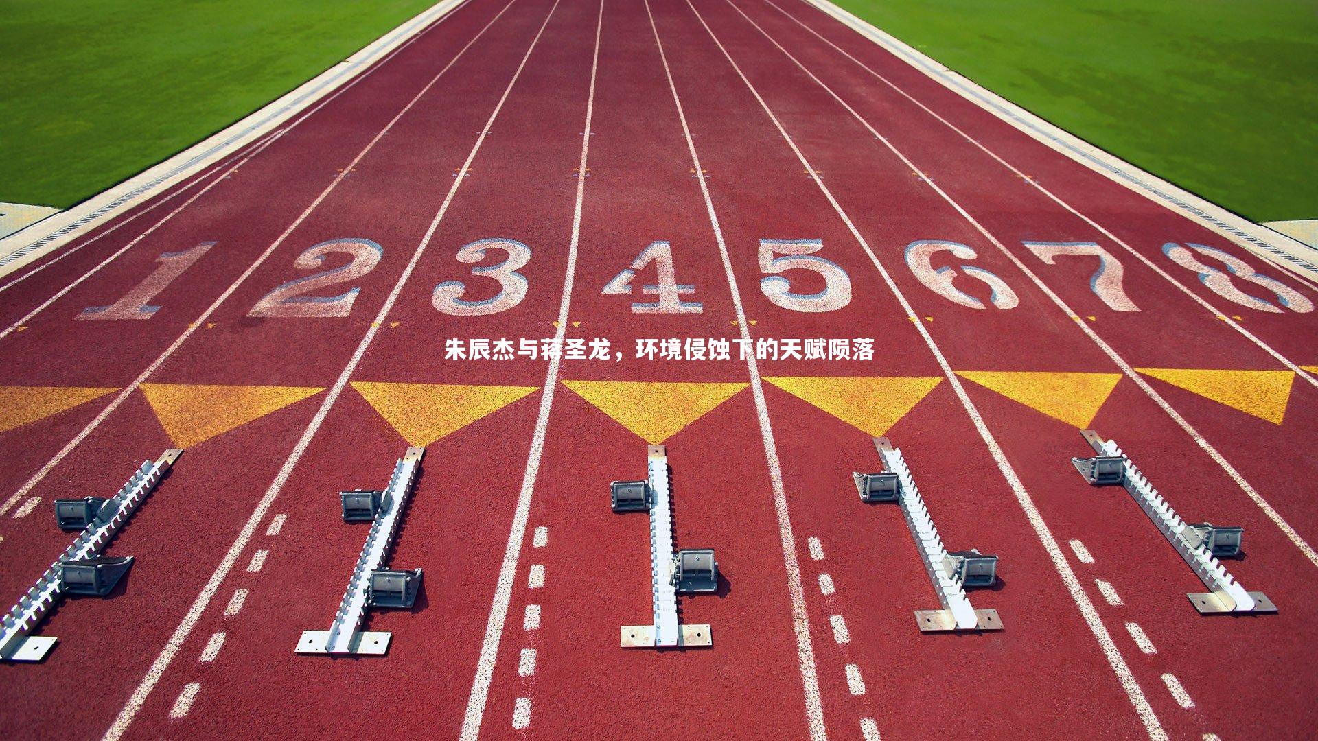 b体育_朱辰杰与蒋圣龙，环境侵蚀下的天赋陨落